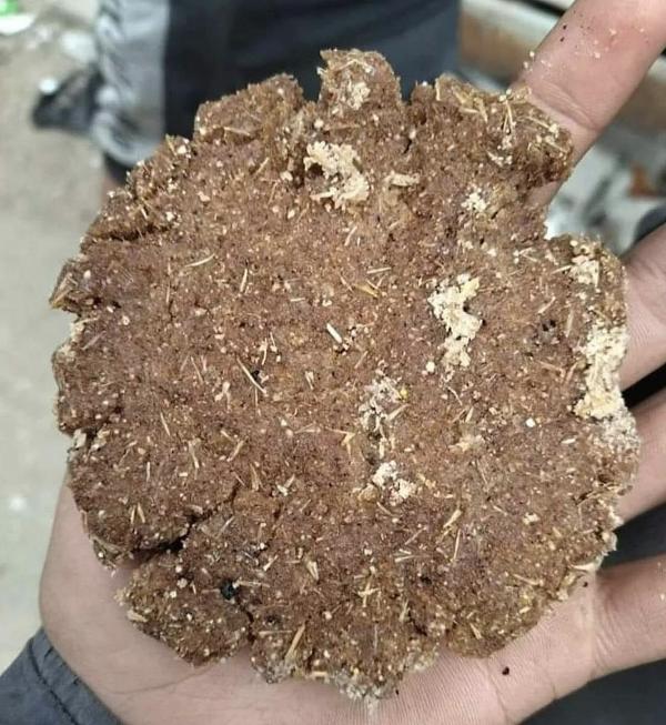 What the starving people in Gaza are eating ... dirt mixed with bird seed.