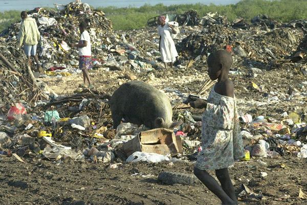 People, and a pig, search for food and other items in piles of garbage by the sea in Port-au-Prince, Haiti, July 9, 2003.