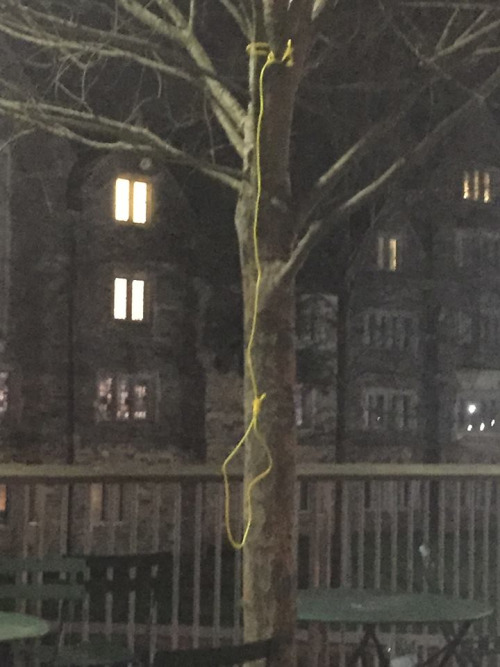 Lynching noose at Duke University campus.