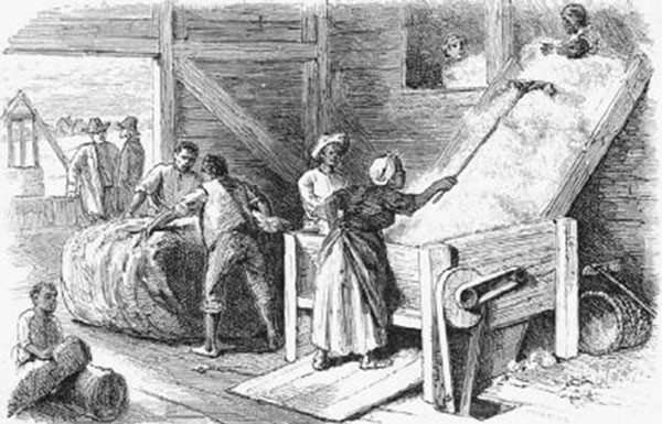 Slaves using a cotton gin