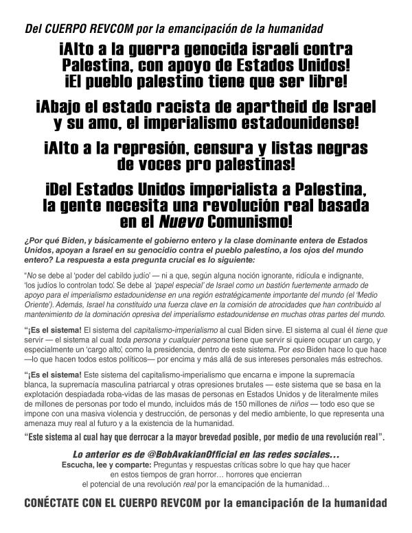 leaflet The RevcomCorps Palestine spanish