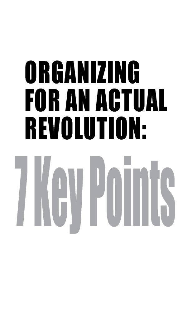 Organizing for an actual revolution 7 key points