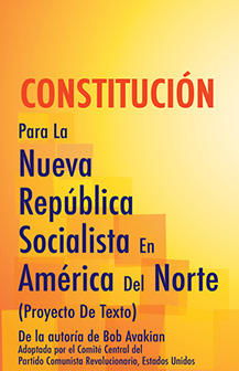 Constitución socialista